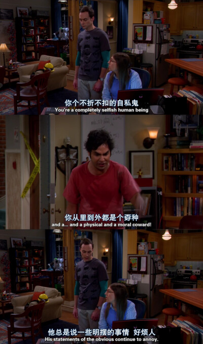 生活大爆炸
The Big Bang Theory/TBBT