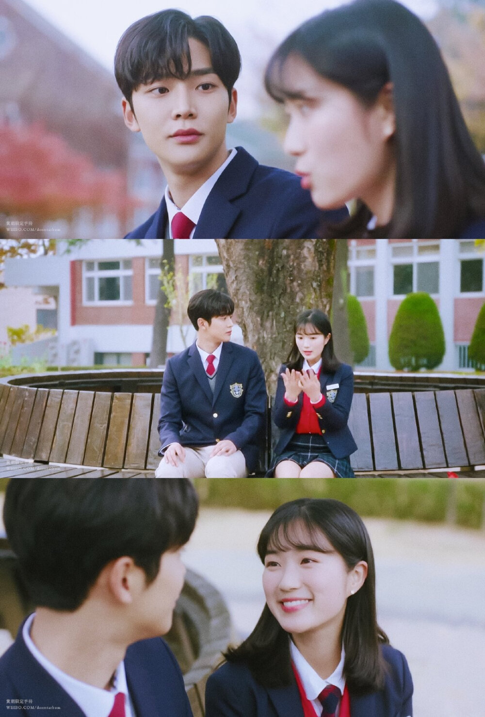 偶然发现的一天