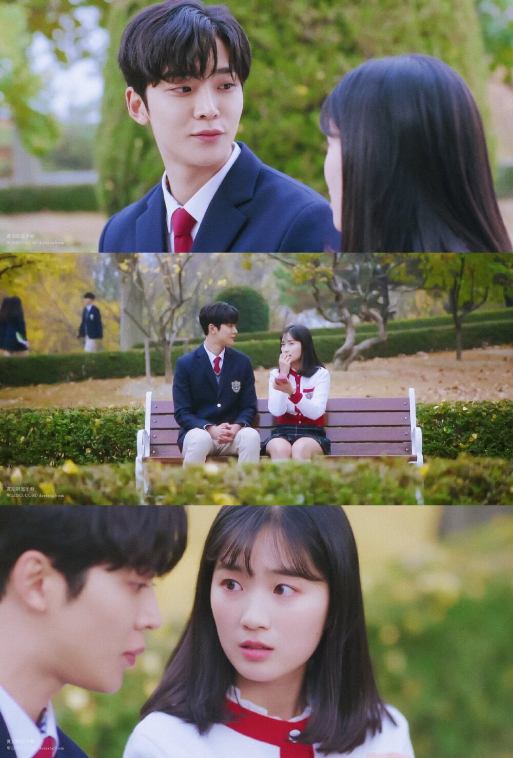 偶然发现的一天