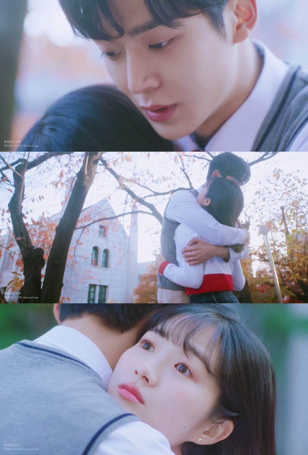 偶然发现的一天