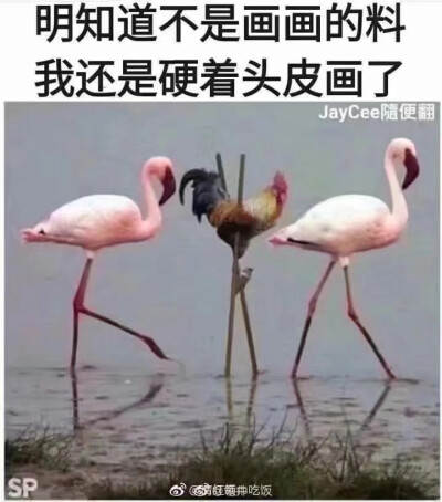 表情