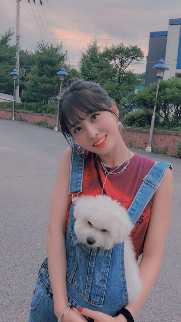 TWICE
MOMO
平井桃