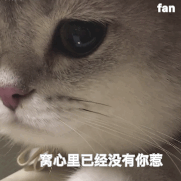 
舒肤茄