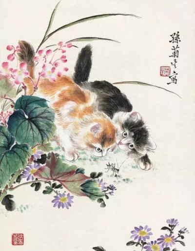 猫咪 国画 孙菊生作品欣赏