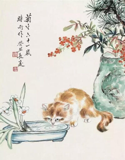 猫咪 国画 孙菊生作品欣赏