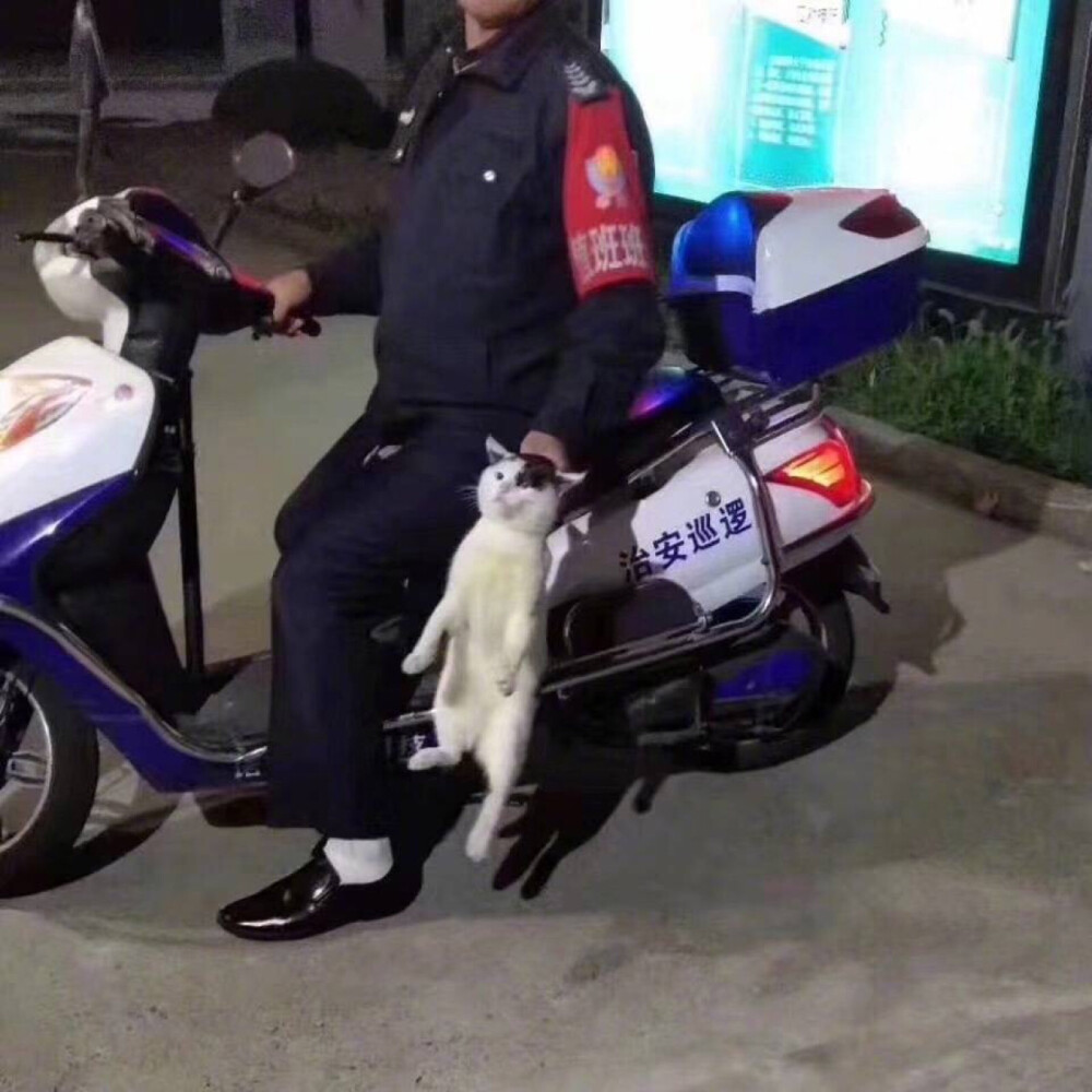 被捏住命运的后脖颈