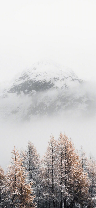 你的风景