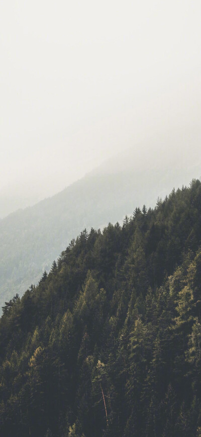 你的风景