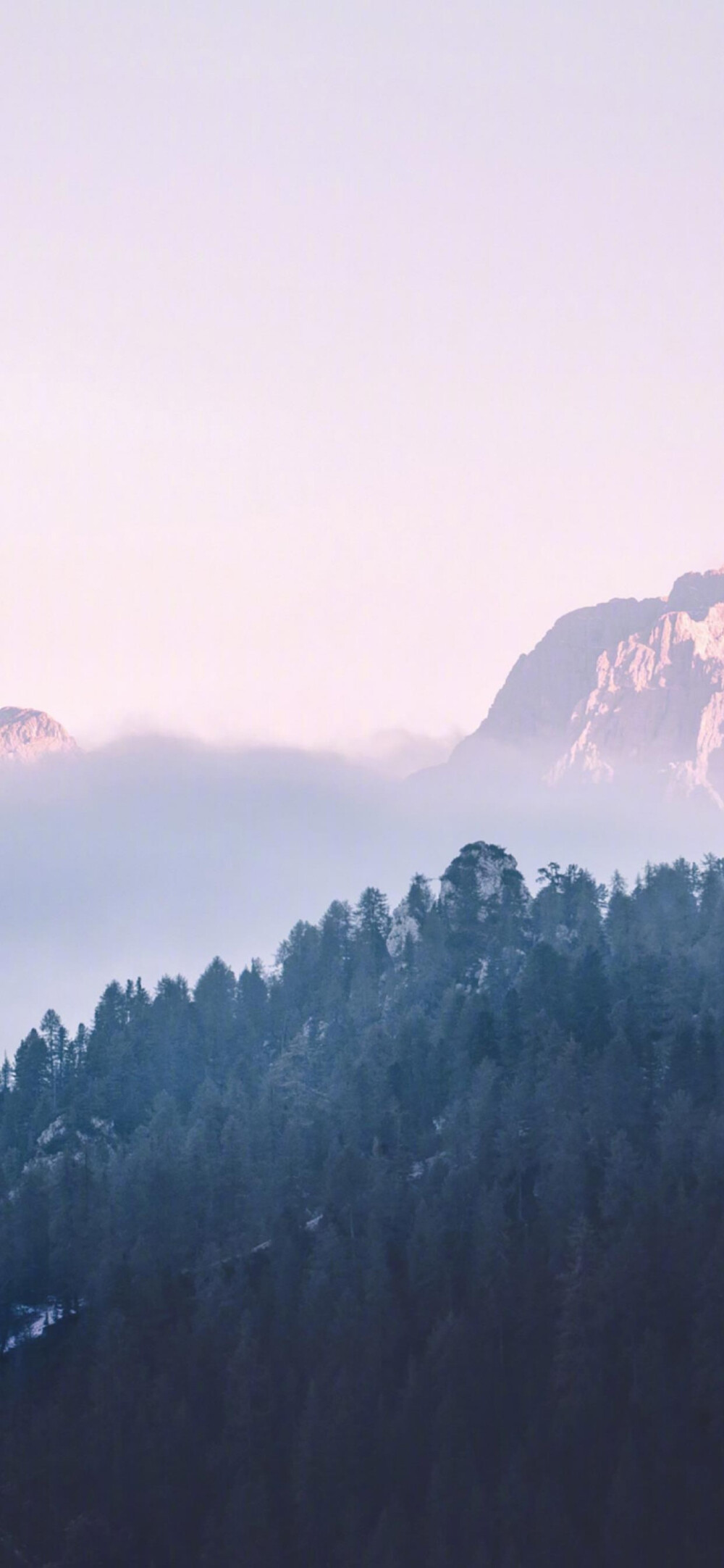 你的风景