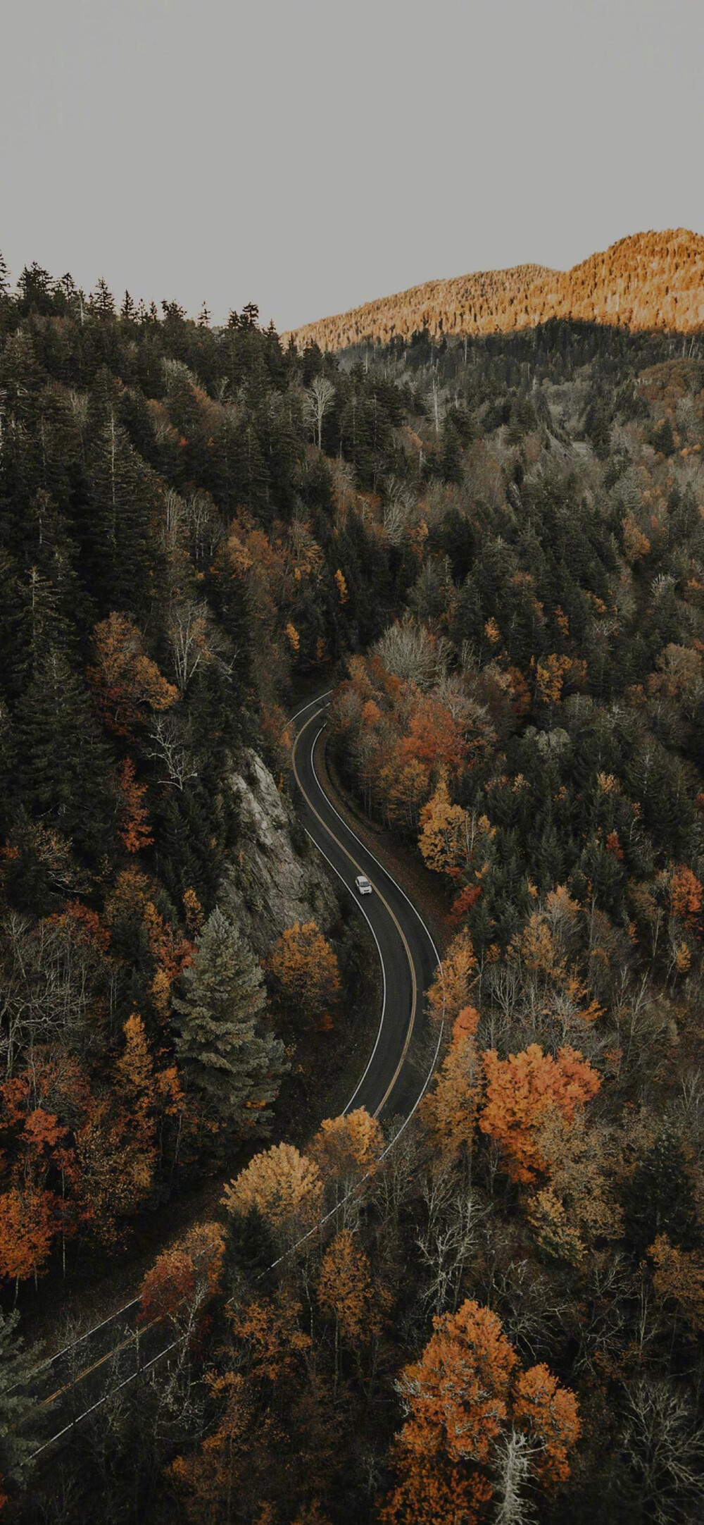 你的风景