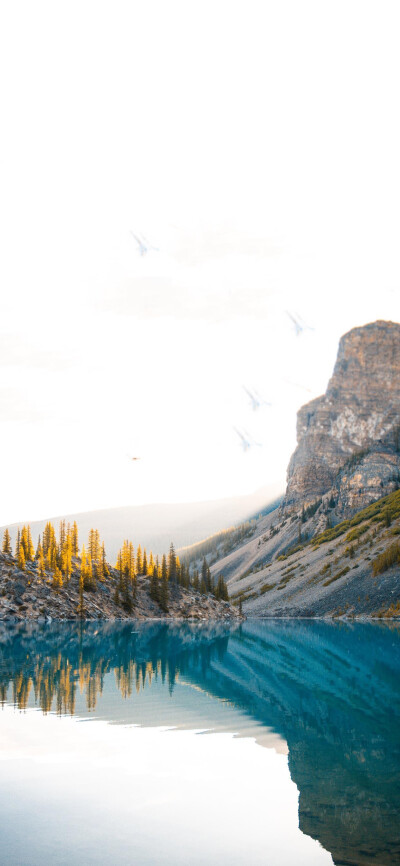 你的风景