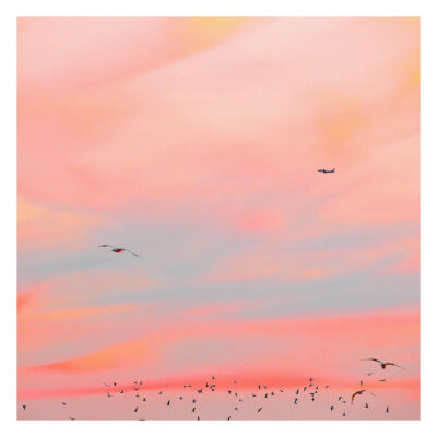 分享粉图❤️
图源ins：charlottecurd