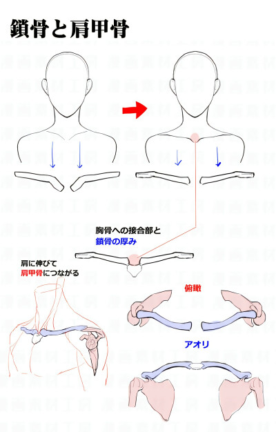 手绘教学