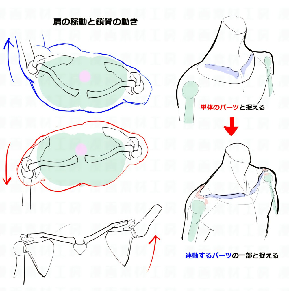 手绘教学