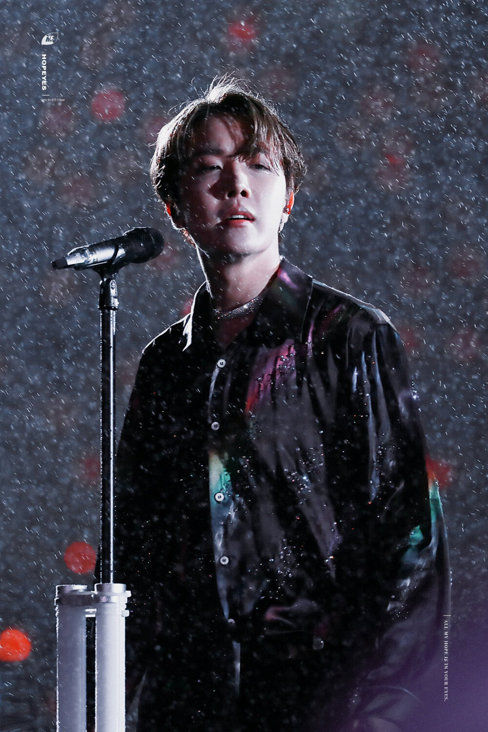 郑号锡 下凡的天使