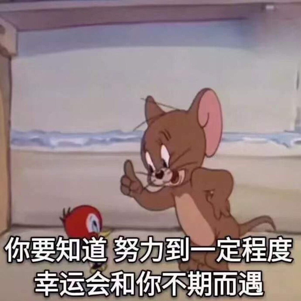 壁纸表情包