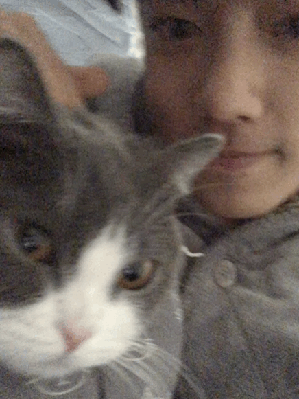 坚果和肖战动图