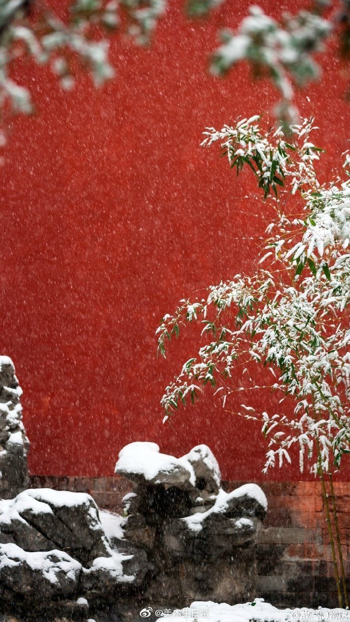 雪落京城