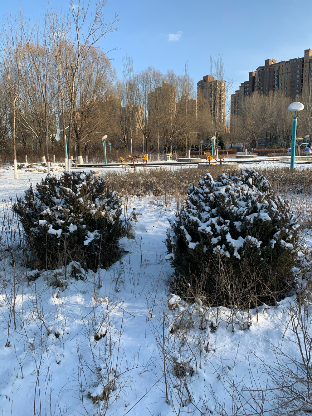 雪景