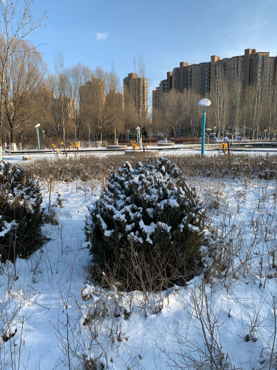 雪景