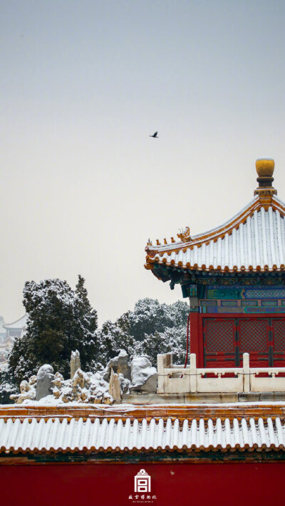 紫禁城的雪 故宫