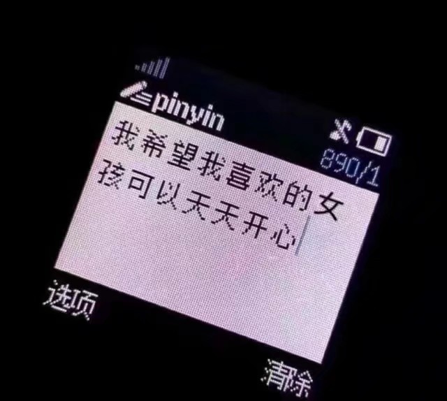 男孩患了绝症，女孩寸步不离，一名记者被这个画面感动，想用相机将它记录下来。但是男孩挡住镜头，将女孩抱在怀里，眼中含泪笑着说：“别拍，她以后还要嫁人呢。”看到这一刻，我承认我羡慕这样的爱情。
——网易云热评《天亮以后说再见》