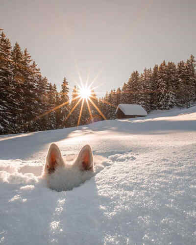 冬日雪景♡