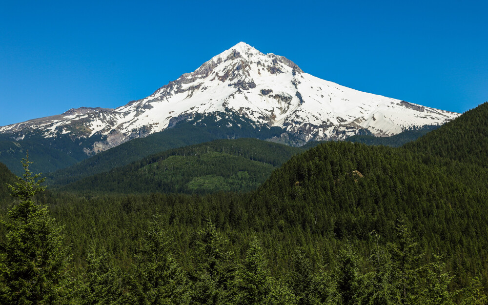 General 3360x2100 photography nature landscape snowy peak blue sky forest pine trees Mount Hood Oregon mountains