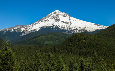 General 3360x2100 photography nature landscape snowy peak blue sky forest pine trees Mount Hood Oregon mountains