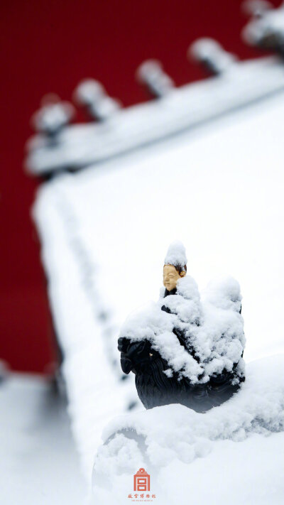 紫禁城【己亥•冬月初雪】“此身陷入酽寒中，血脉归心迓谷风。雪妒冰猜情愈白，云酸日涩笑犹红” 照片取自@故宫博物院