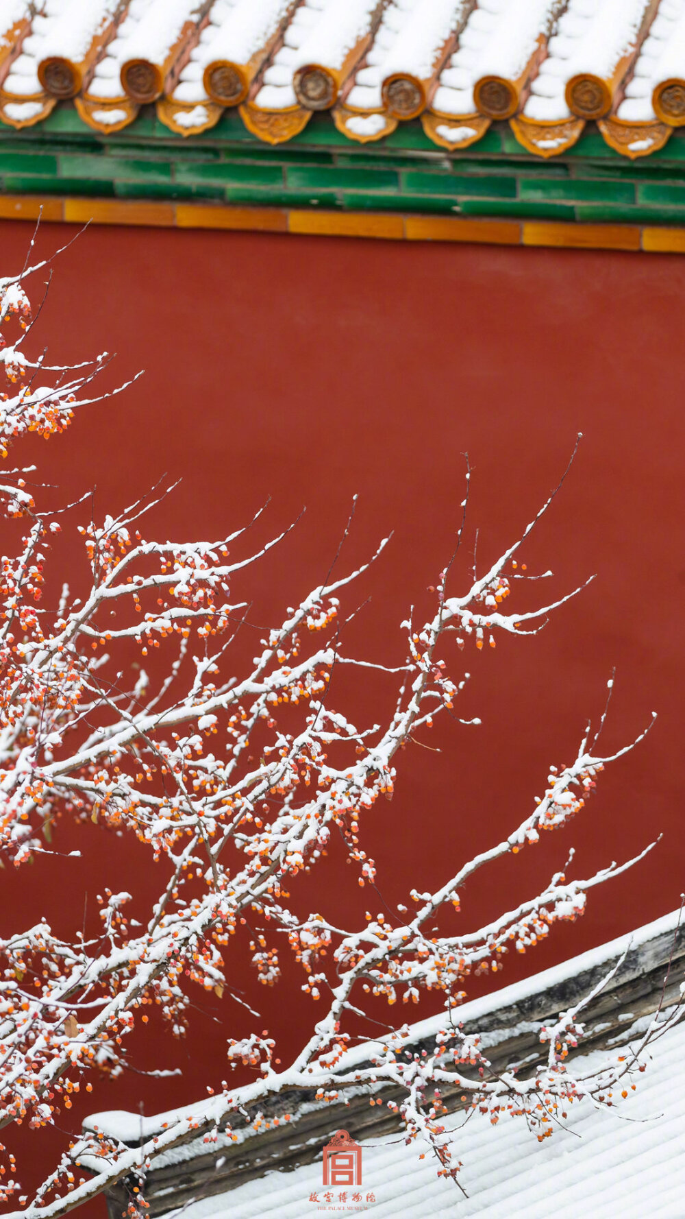紫禁城【己亥•冬月初雪】“云护柔条雪压枝。斜风吹绛蜡，点胭脂” 照片取自@故宫博物院