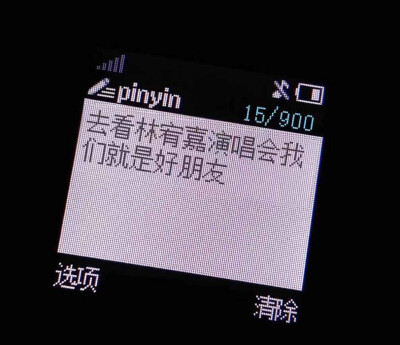 爱人 林宥嘉 : ）