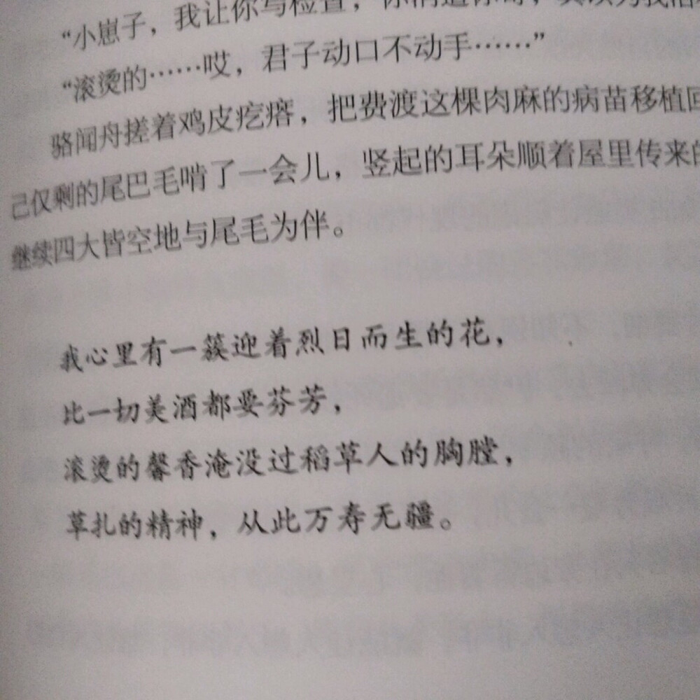 我只是一个人
走了一段又一段艰难的路程