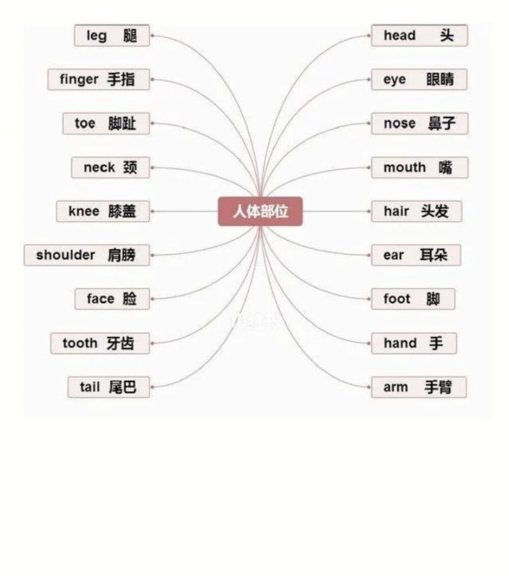 英单（场景）