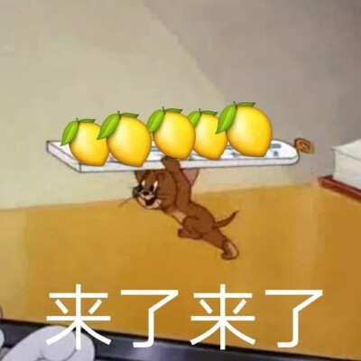 柠檬汤姆猫