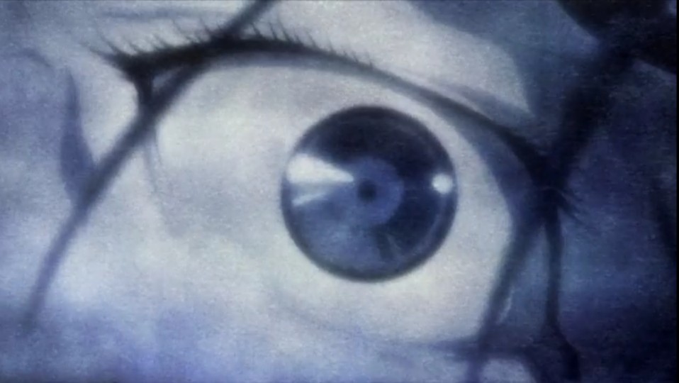 《青之文学》人间失格