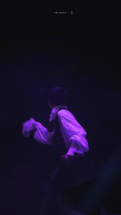 花花 华晨宇-2019火星演唱会-《疯人院》