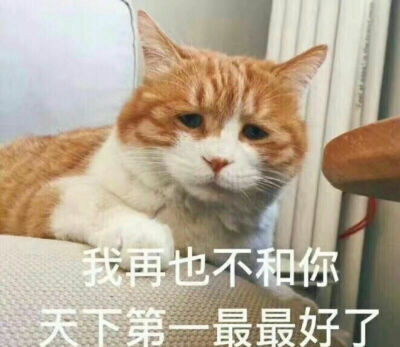 千凡
表情包