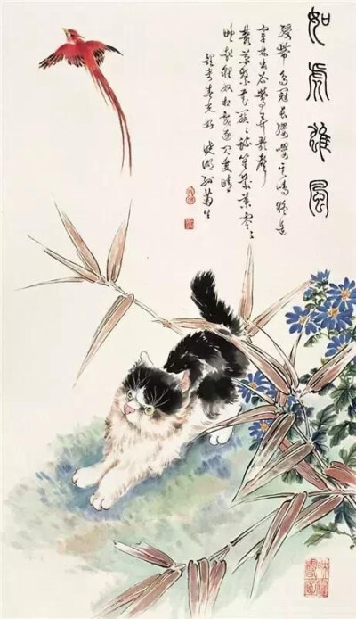 猫咪 国画 孙菊生作品欣赏