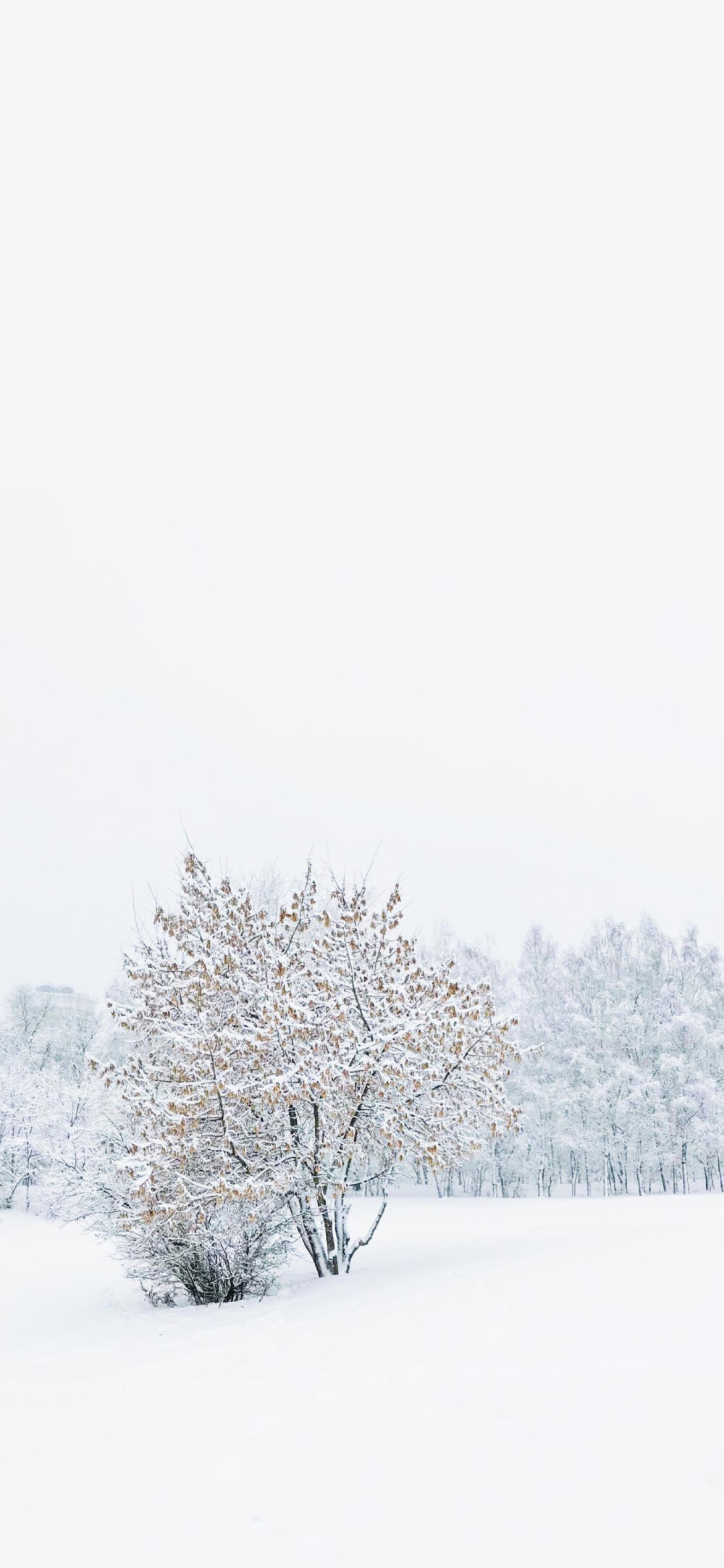 你的风景 雪景