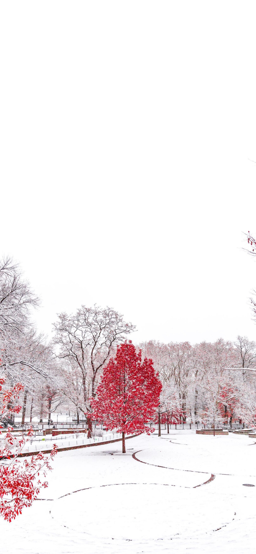 你的风景 雪景