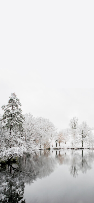 你的风景 雪