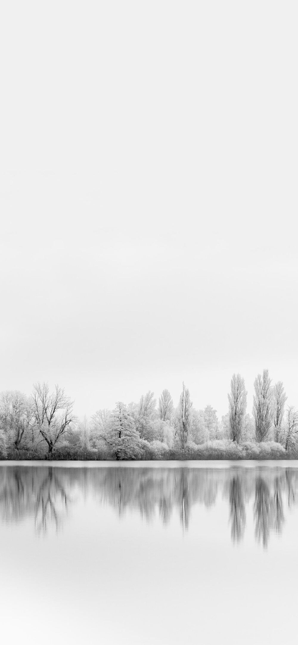 你的风景 雪