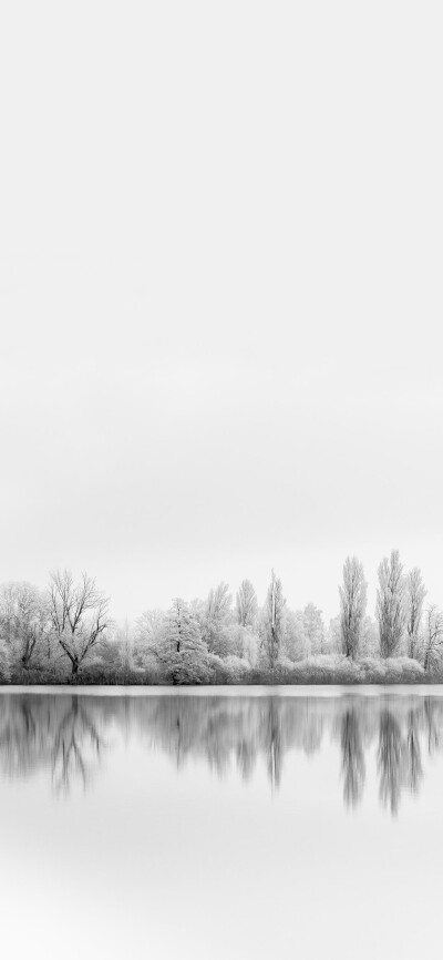 你的风景 雪