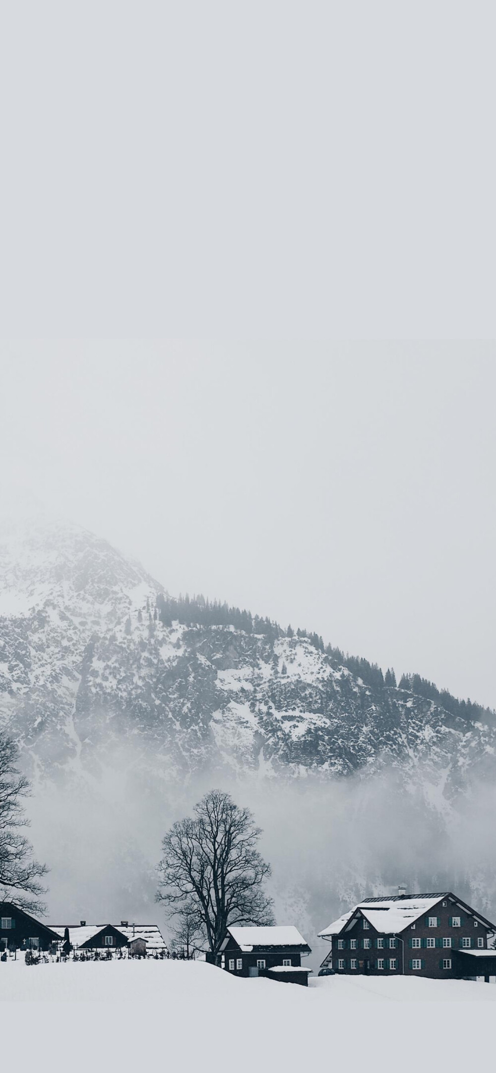 你的风景雪