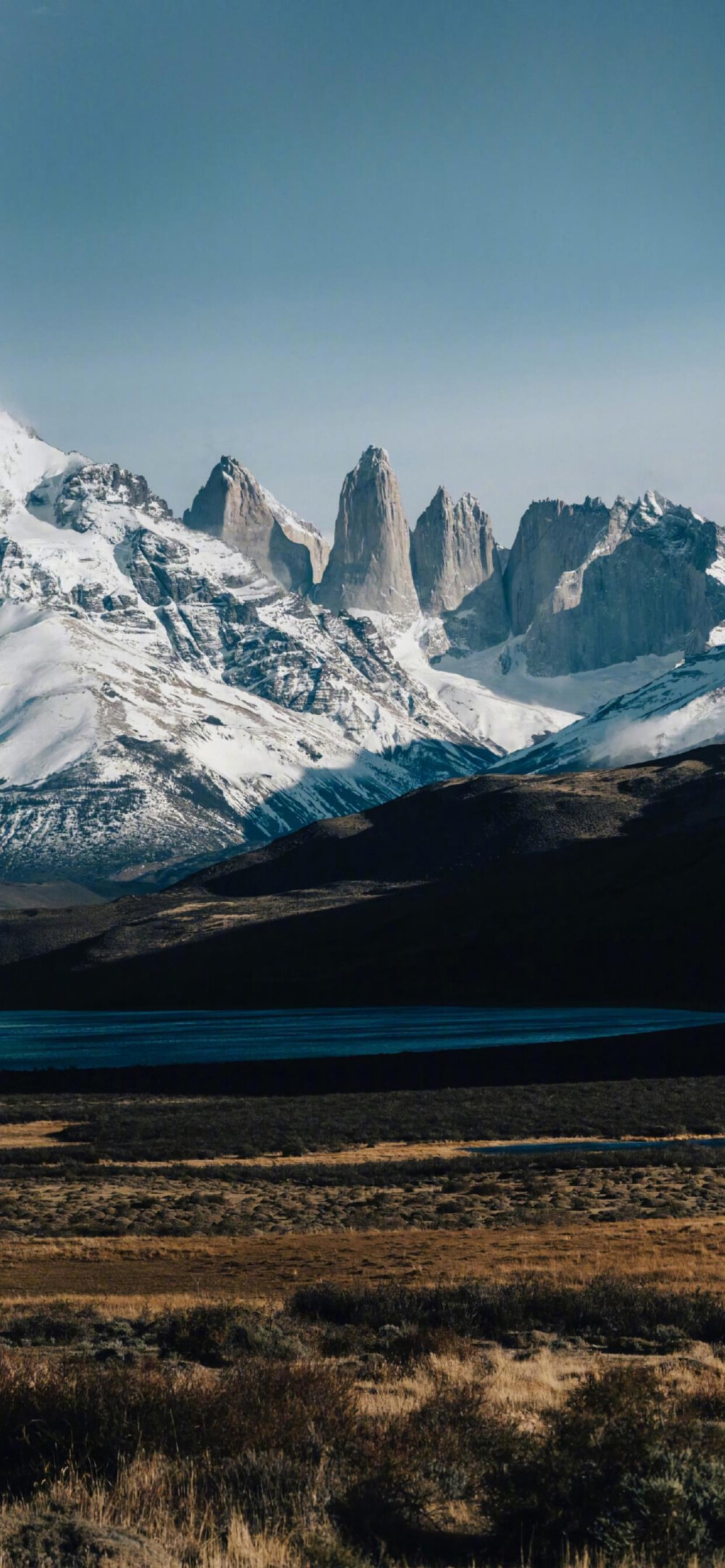 你的风景