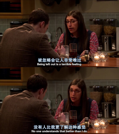 生活大爆炸
The Big Bang Theory