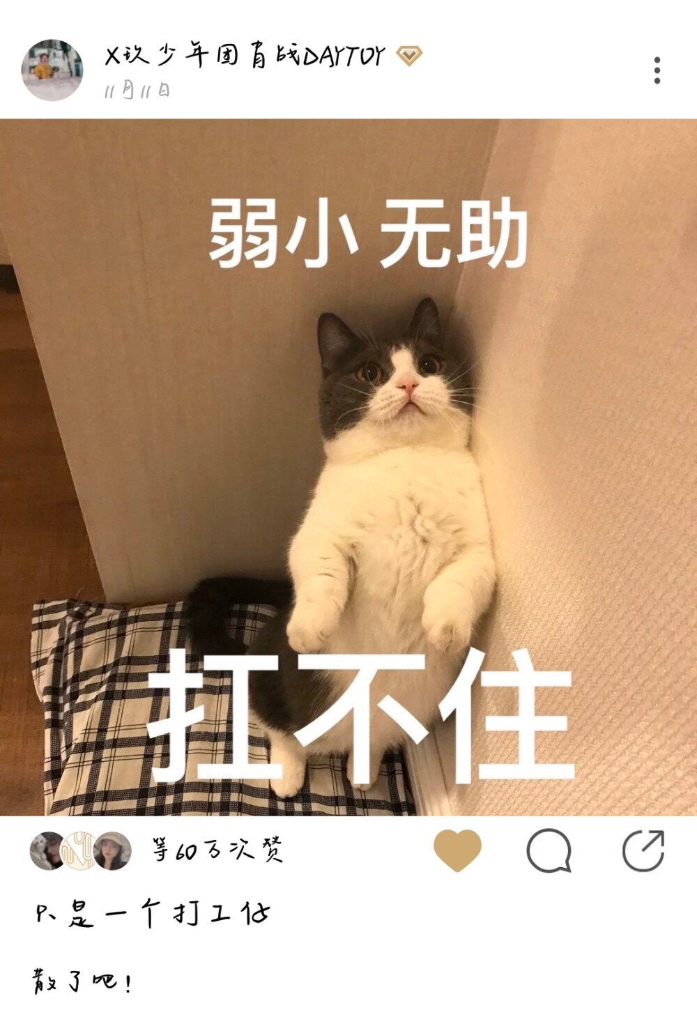 果儿啊！so cute！