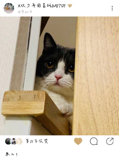 果儿啊！so cute！