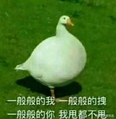 丿